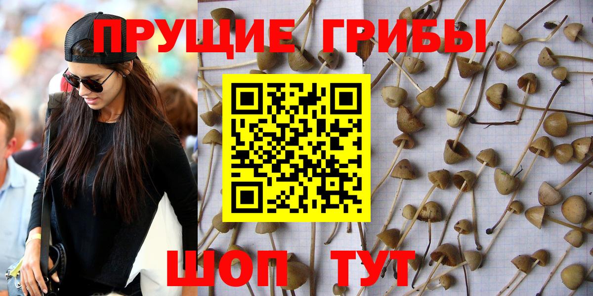 Галлюциногенные грибы ЛСД Алушта